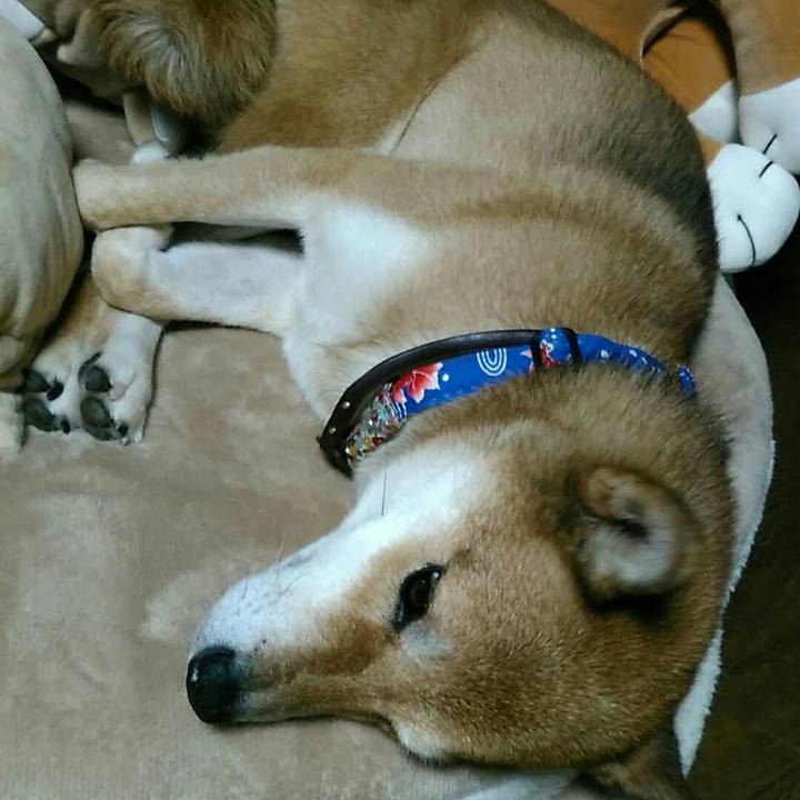 4dae874c 52cf 4377 8a51 8b4820eecc84 1535813949665