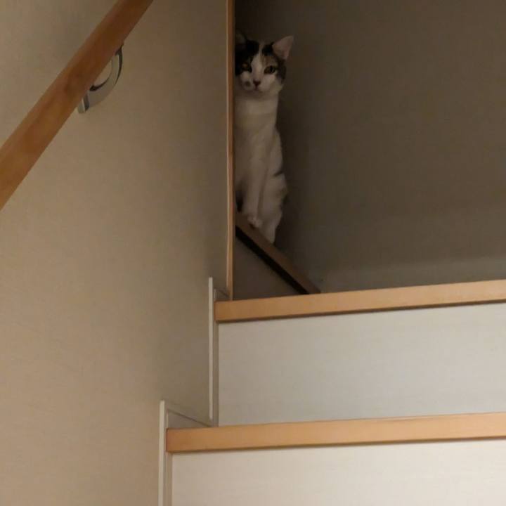 4daedb62 9471 4f09 9a7f 6db3f4f30051 1699588297443