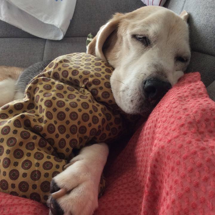 4daedd82 913a 491a 8f75 b51f139b14f5 1625626510944