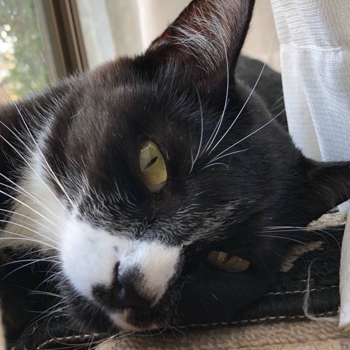 4daee587 d69b 45a0 aa1f 05d39c1a59ed 1631336371788