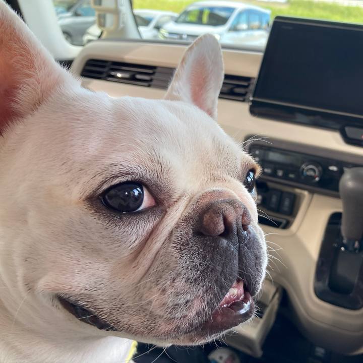 4daef163 5154 429c a83a 963d7a56b7f9 1727077843087