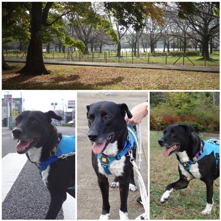 4daf6e98 1c65 4a35 ac54 f3d5c285f56f 1636246566716