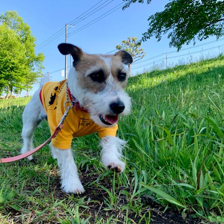 4daf8b77 185d 4014 a325 8bd240150cb4 1619176282709