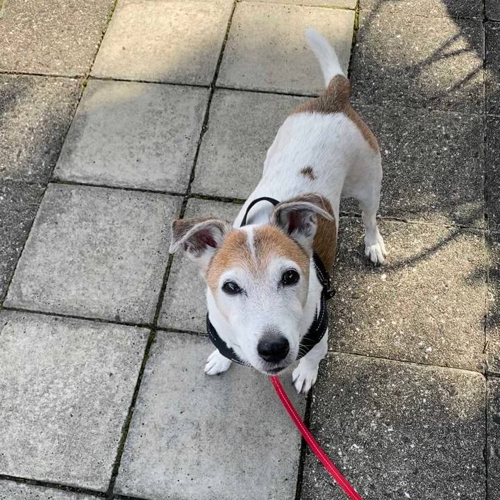 4dafa6eb a781 47ee ab73 ba2de7231ac3 1601169463679