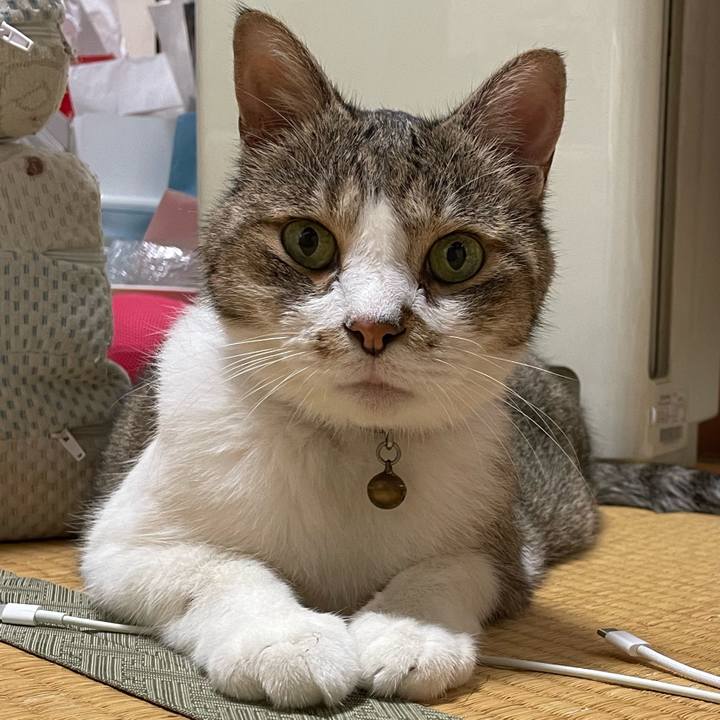 4dafaa9b 14f8 4e47 bd08 f79c5f478cb3 1725203825372