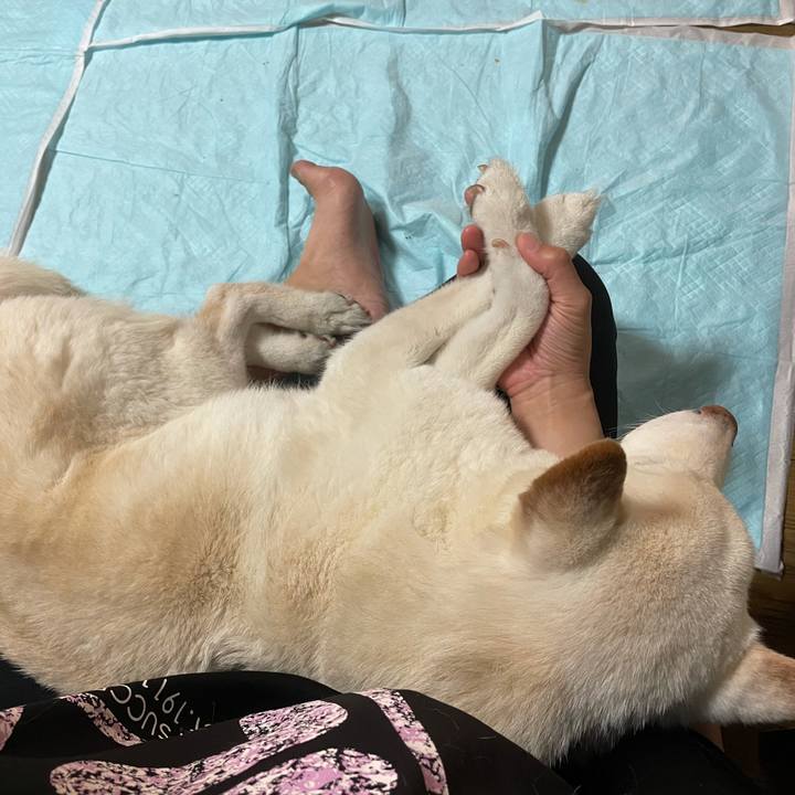 4db03c7e 27dd 4ce4 9328 e32490e01990 1635840718955