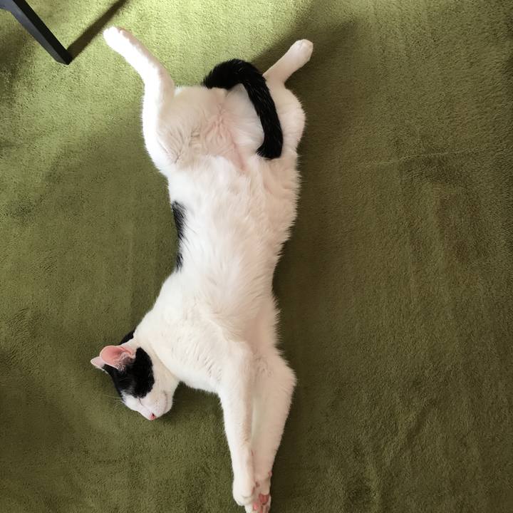 4db0614b b8dd 4241 a1a3 5315b64ed6b6 1512796389985