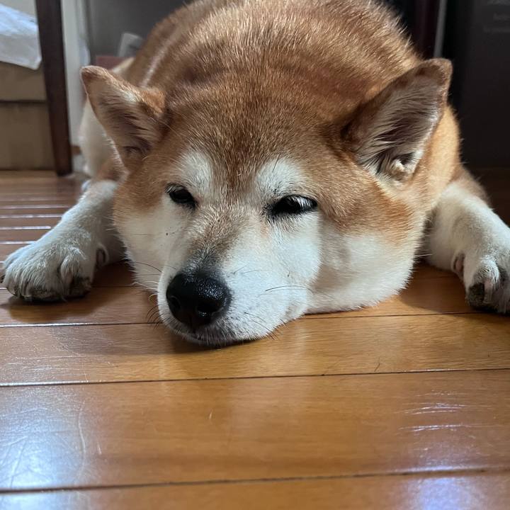 4db06d76 1396 462a b9a1 b1c722bcf12f 1693007943629