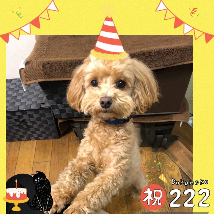 4db07c2a 4ff0 4d5c 9067 ff5374d9c015 1645532326462