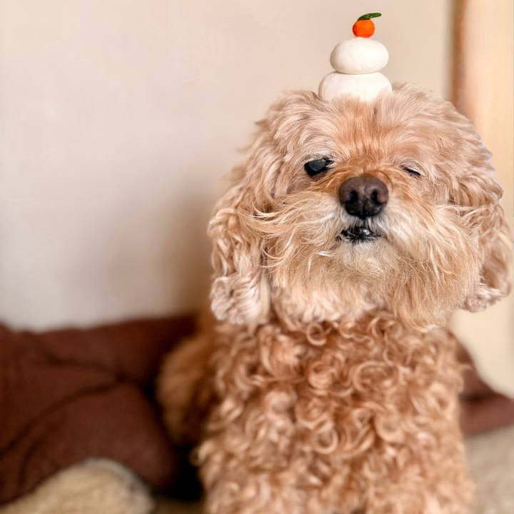 4db087be 43cb 48cb ac7b c067730345dc 1767316674184