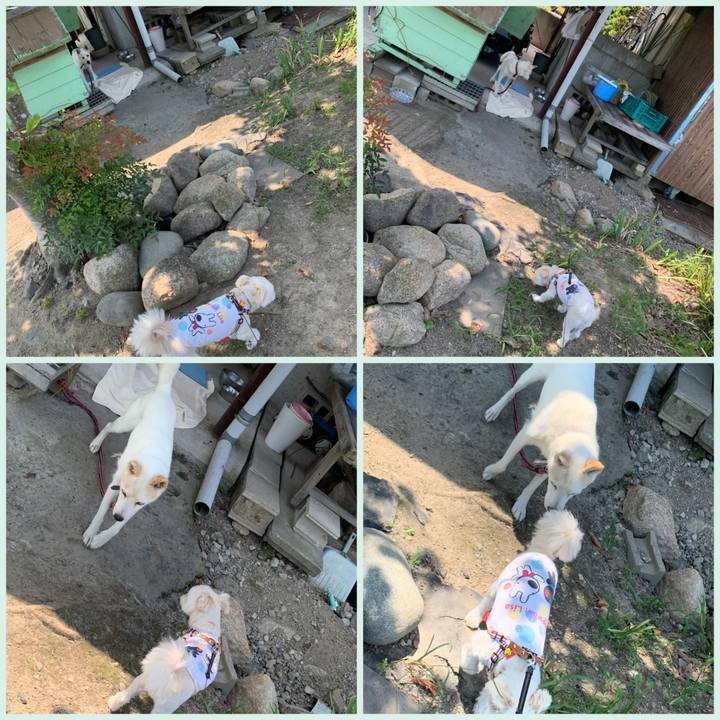 4db0ca65 db57 43c8 992b 51fe15454eec 1630301132978