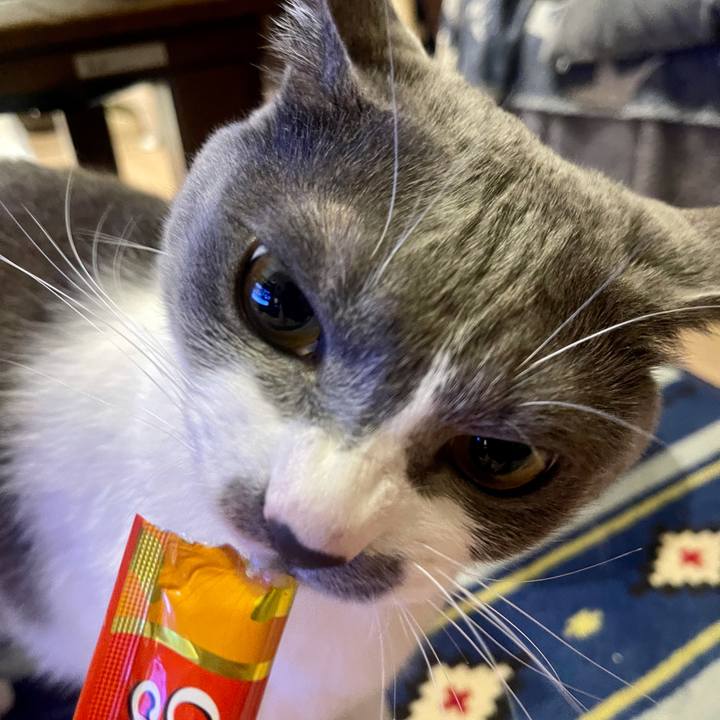 4db14e29 2524 466f 880b 5bb8e031101c 1632473835601