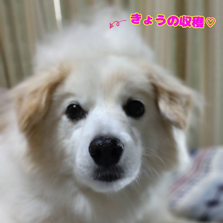 4db18584 8092 4334 a282 adcde2f0c1db 1650763960396