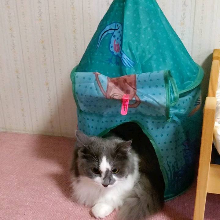 4db1aba7 3e02 4490 a380 e6ea1bf079a1 1594456992361