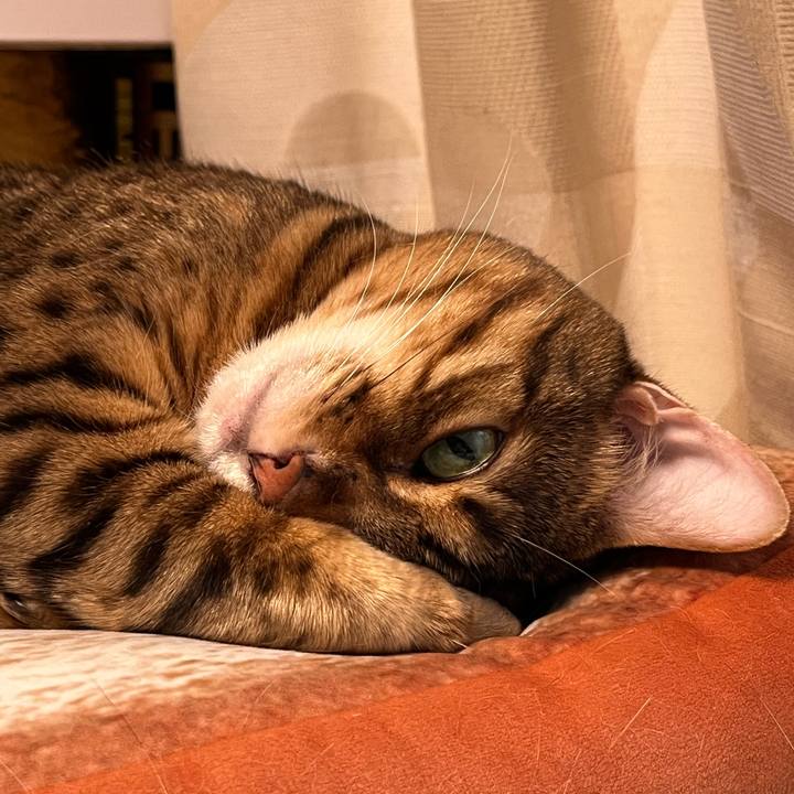 4db1b711 c8a0 4bdc a0dc 78943a729e69 1658202394794