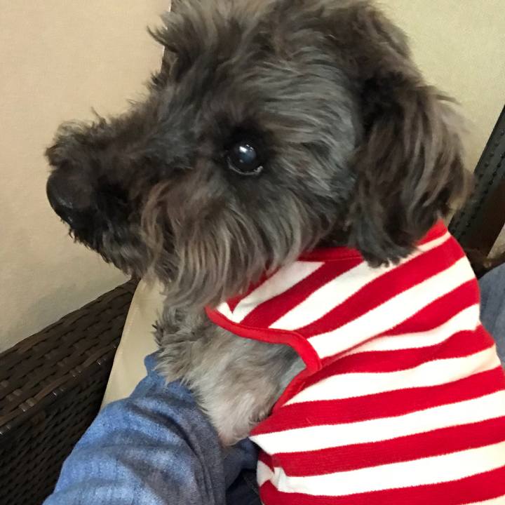 4db1bc60 ad40 436d a452 b6e93687cbff 1524225241641