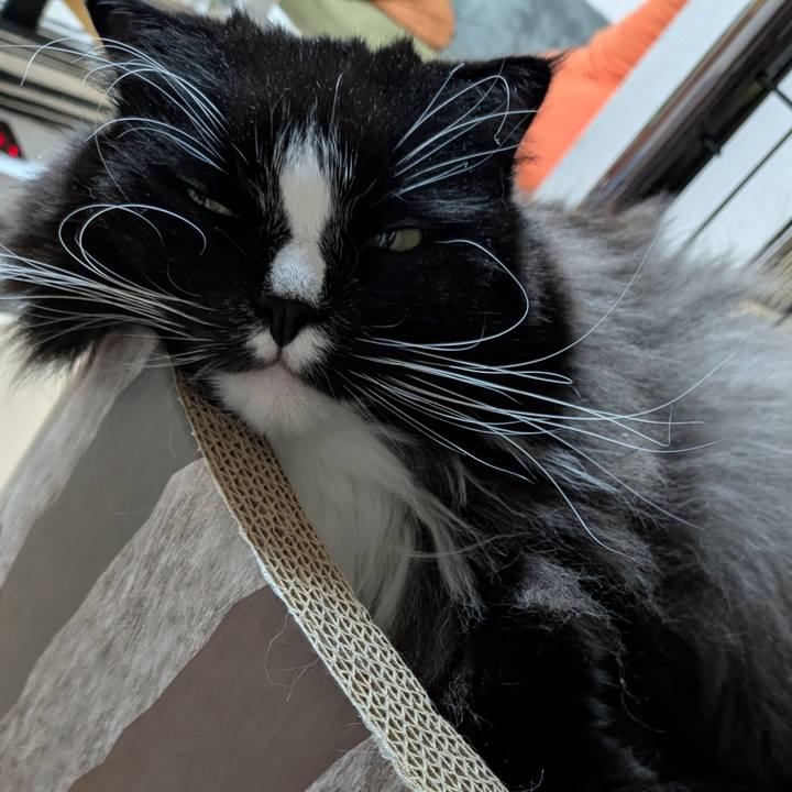 4db1d93c 7e3a 4e72 8c70 966683e02541 1737897057034