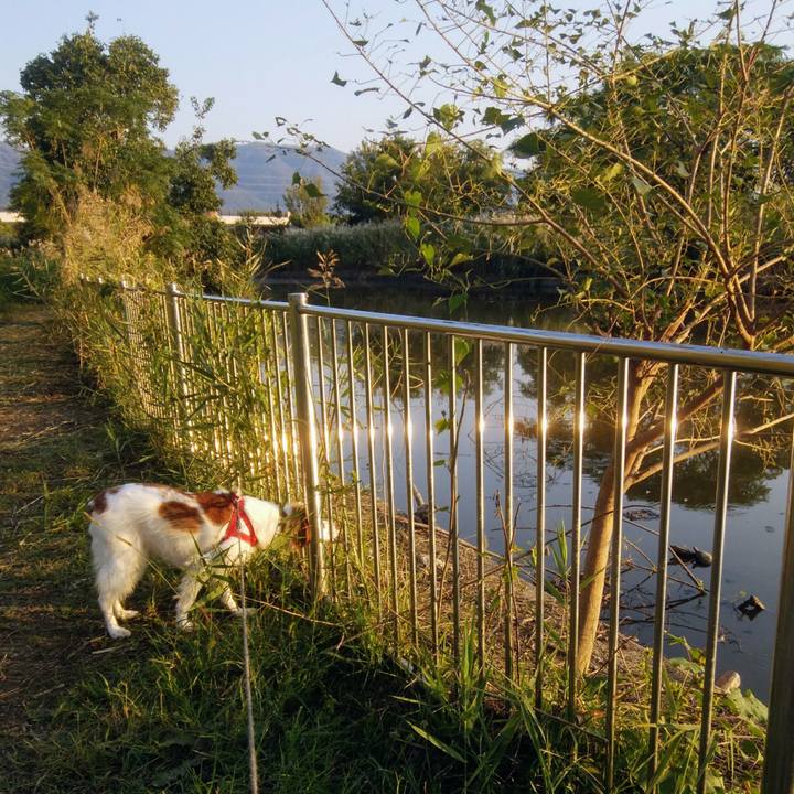 4db1e8ea 220c 4ccf 9a2d 600aa181af53 1539945957738