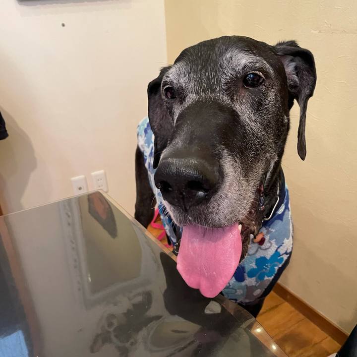 4db1f8ad 76ec 4d4d 9313 32bf355d195e 1617445643617