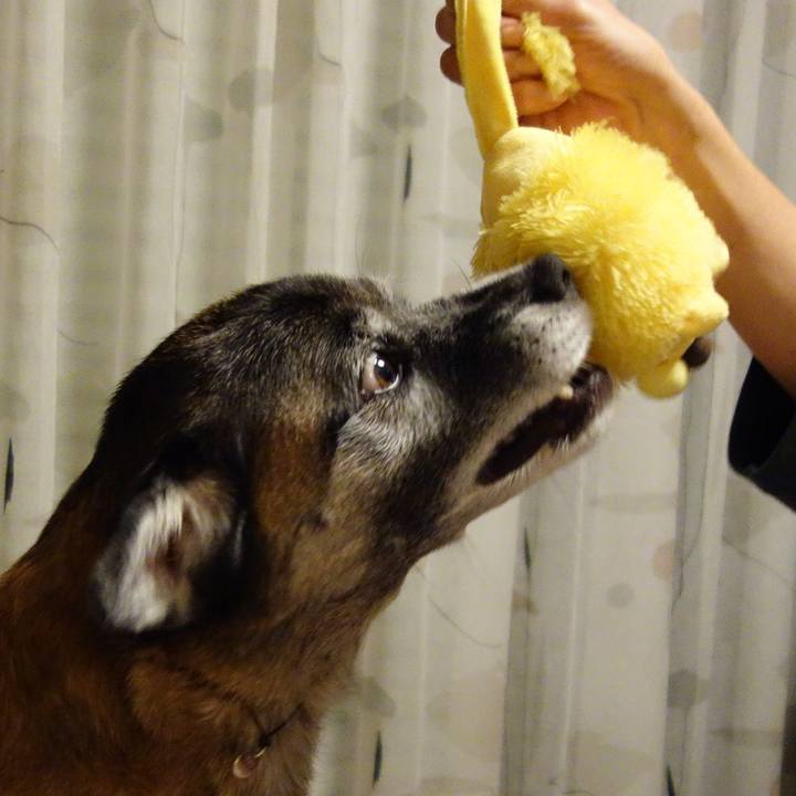 4db200ca 78b1 4e90 a982 3a5d74981aa3 1618535693761