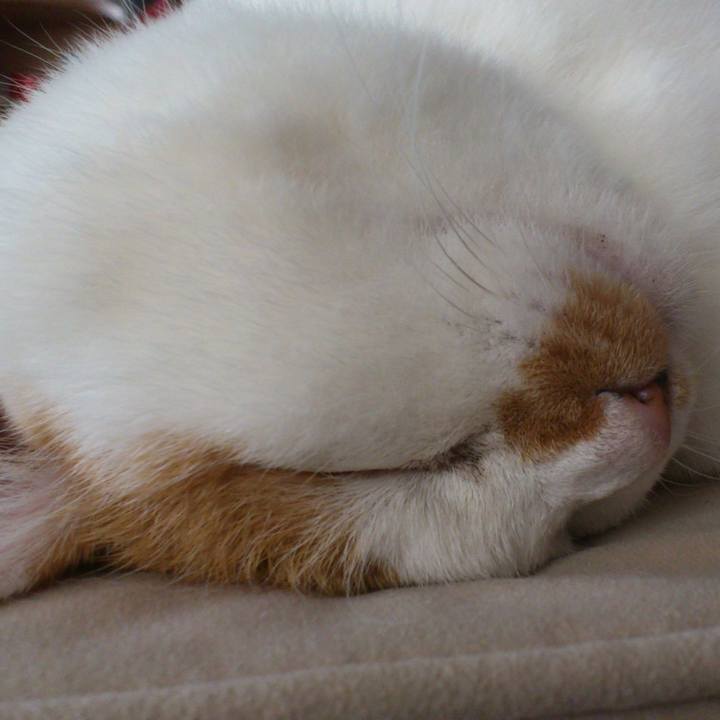 4db23c80 69a3 4792 87a2 85fa871aa0d6 1611970272984