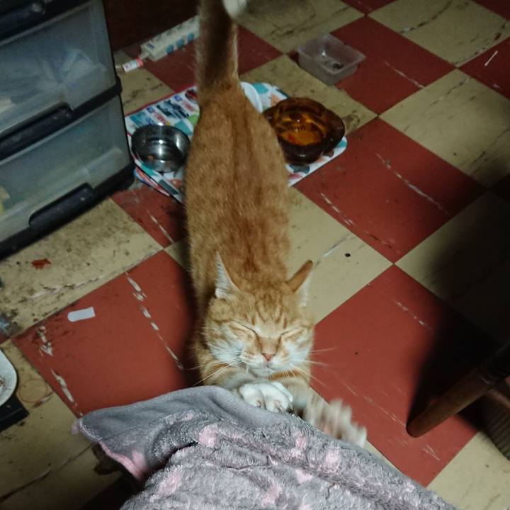 4db23c8f bb80 4998 93a1 fdfa50bbc14a 1595099959488