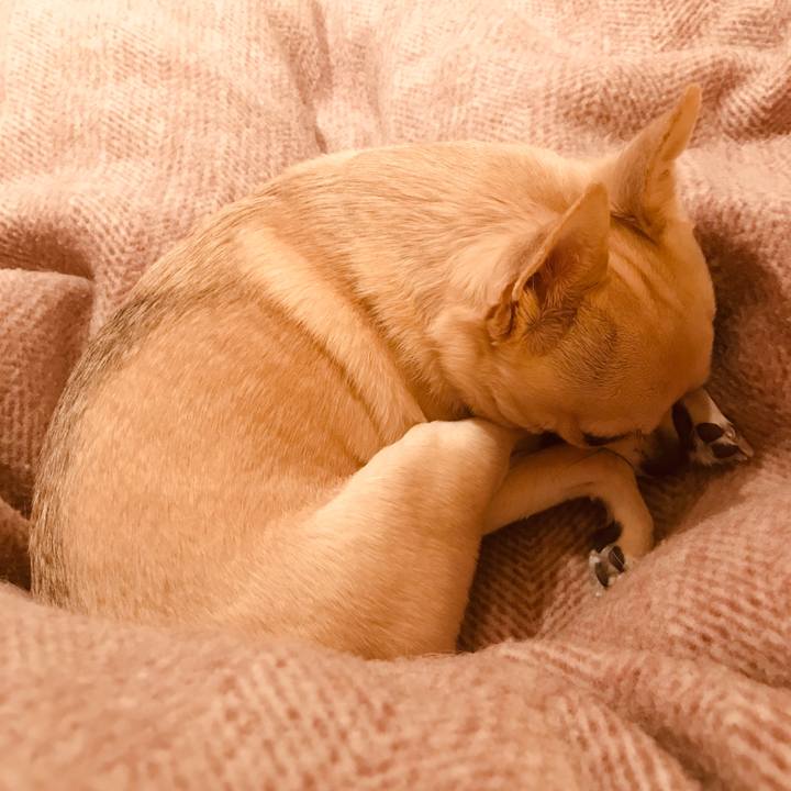 4db24129 0b6f 480e 908e ab63a39d4099 1547554512801