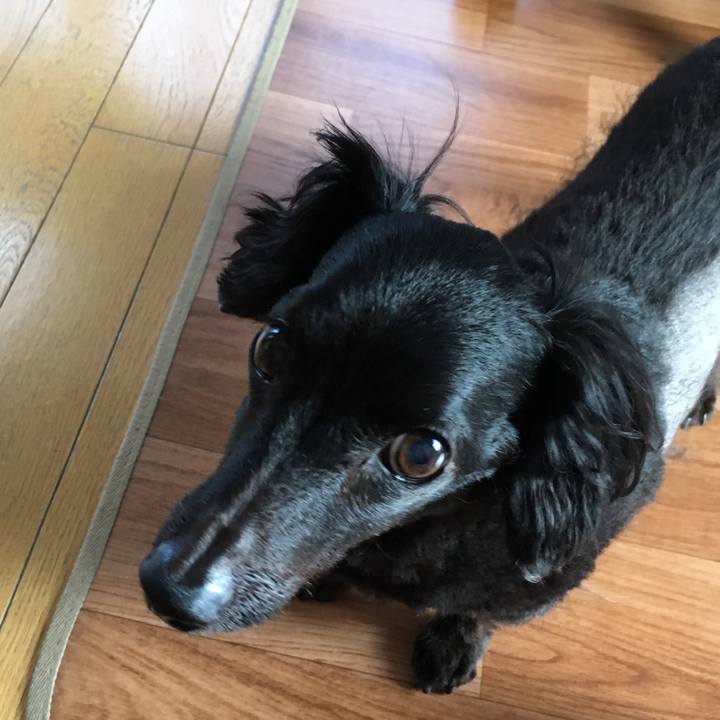 4db29844 08f1 4957 8a74 63d829912928 1532296344601