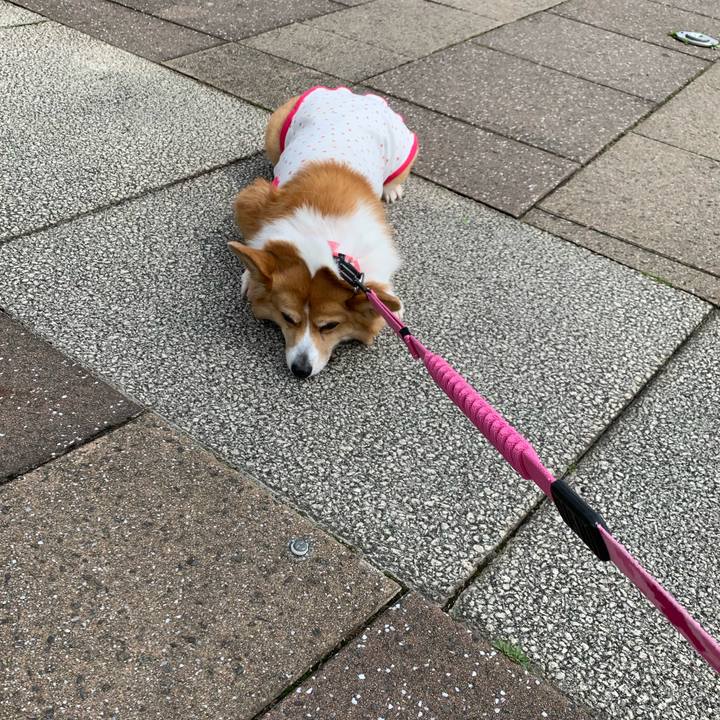 4db2aad4 bf3f 4829 9a50 023495672265 1587435786262