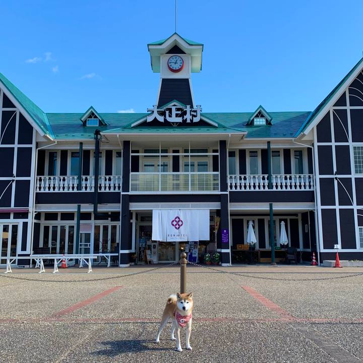 4db312d9 5b36 4b46 912b 21c78e95fa96 1641977664318