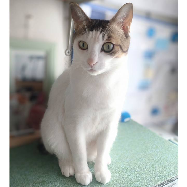 4db344e8 ade5 4348 a87e 82ef2dc45b3f 1735704255346