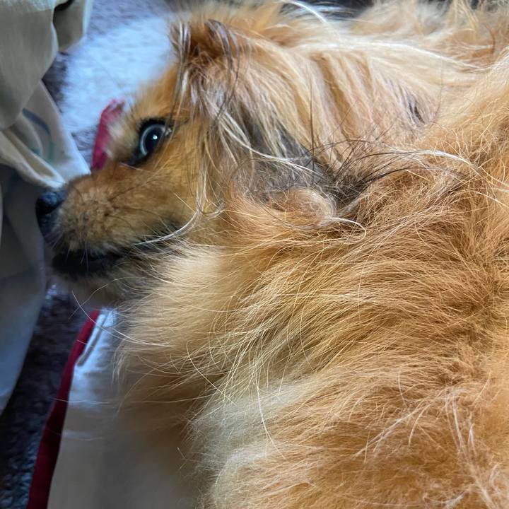 4db3787b 4646 4f95 a96e b5bec8e06169 1625882964272