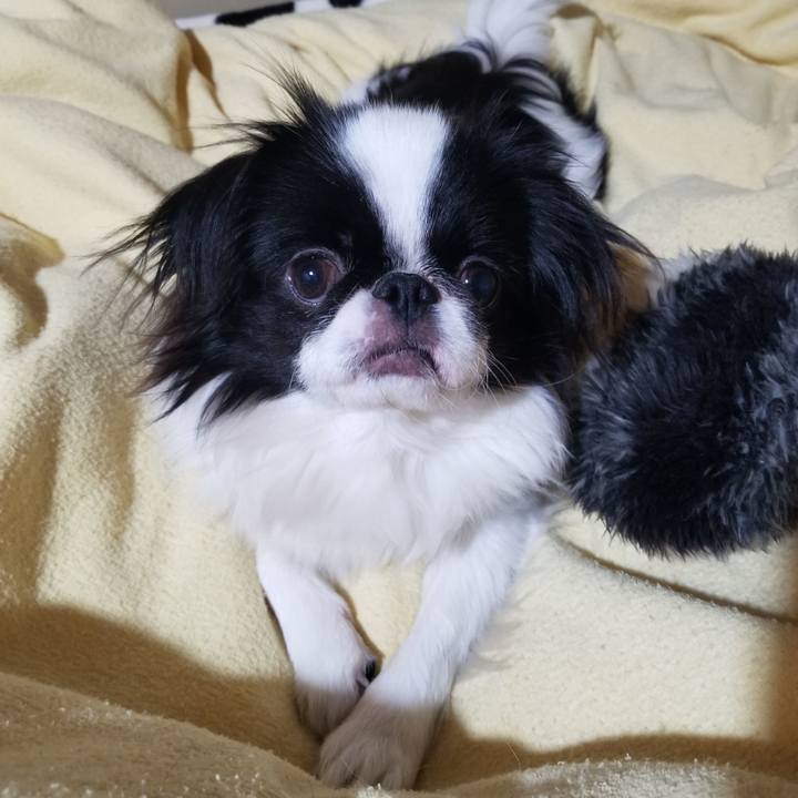 4db37d6f 8960 4c4d 8a01 535f410a76b2 1643443917534