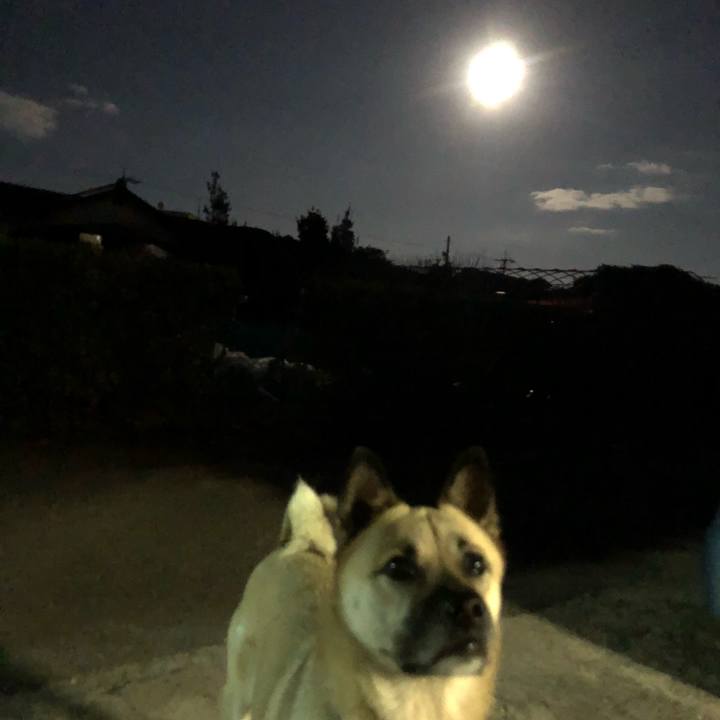 4db383be 4515 4a6e b3b9 33dd3acd2f61 1576151638640