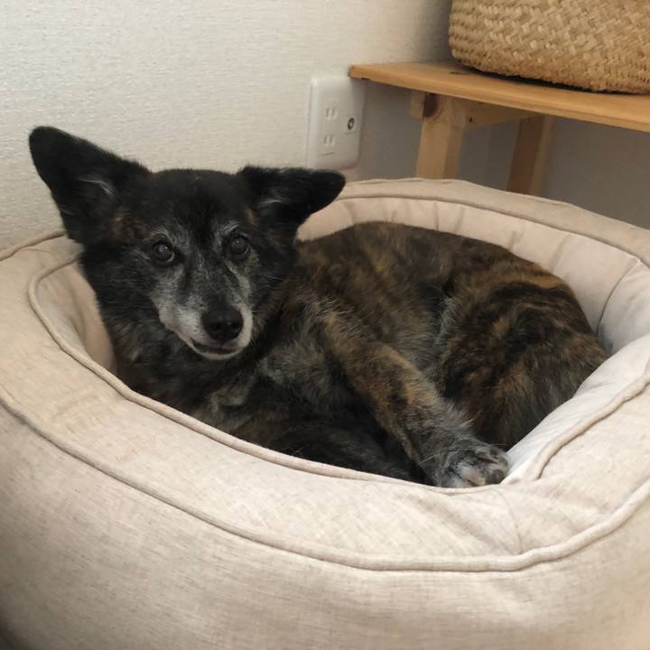 4db38669 5b52 40bb 88ac 06c5dd0d373c 1687091043309