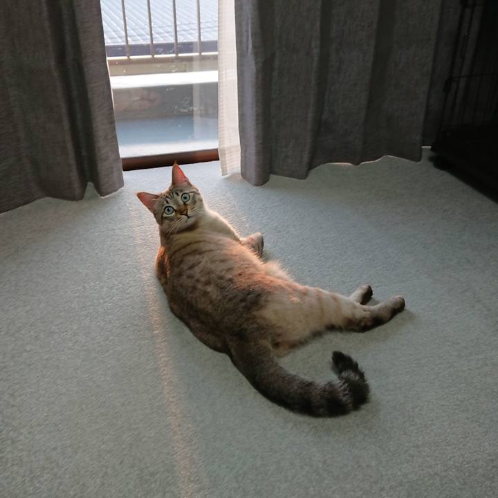 4db38a2b 2a3b 4e2b aad1 41e68ff8901f 1522571391487