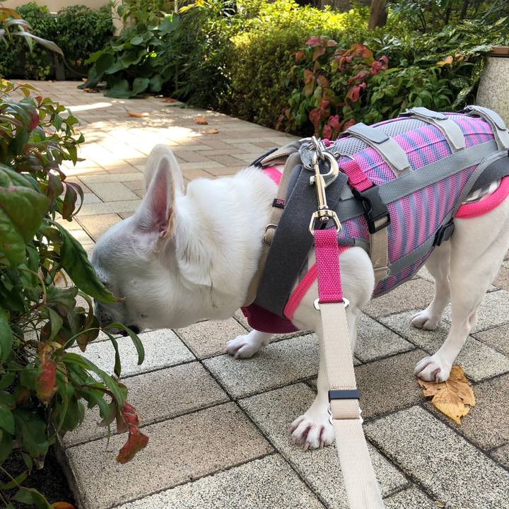 4db38f09 3cad 4191 b47e 2824f0cbfdfe 1575168147003