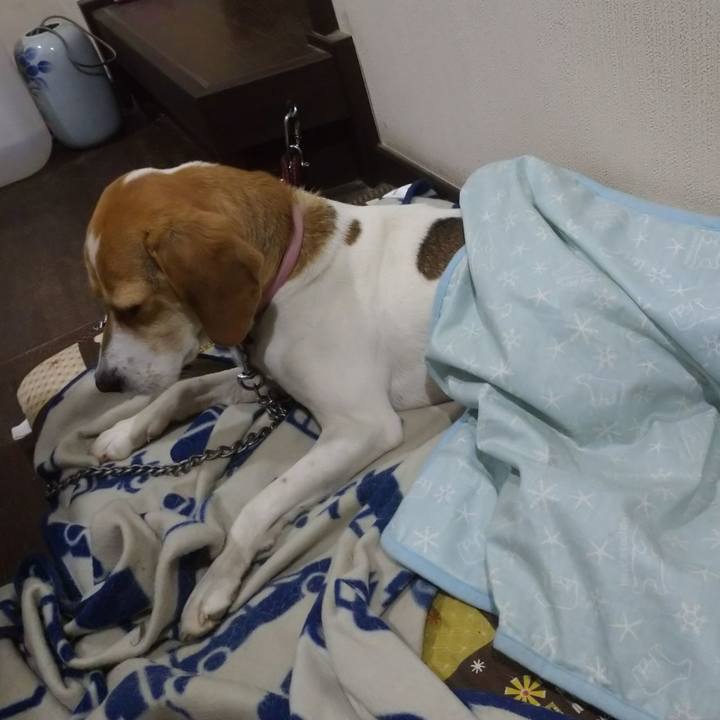 4db3cc2b 7b7c 4bd8 ad97 907a6dfe22f7 1589291691884