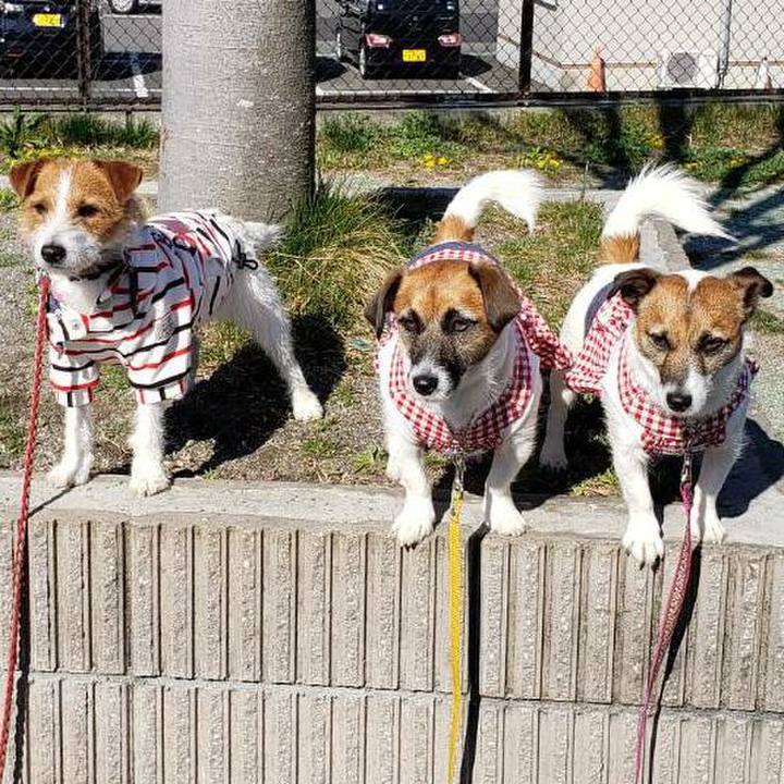 4db3d5fd ccbe 4dc6 a6ca c3701ec9f949 1555115290868