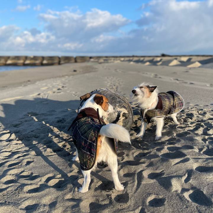 4db42152 fd2e 4554 9f85 be5511f07bab 1771374673062