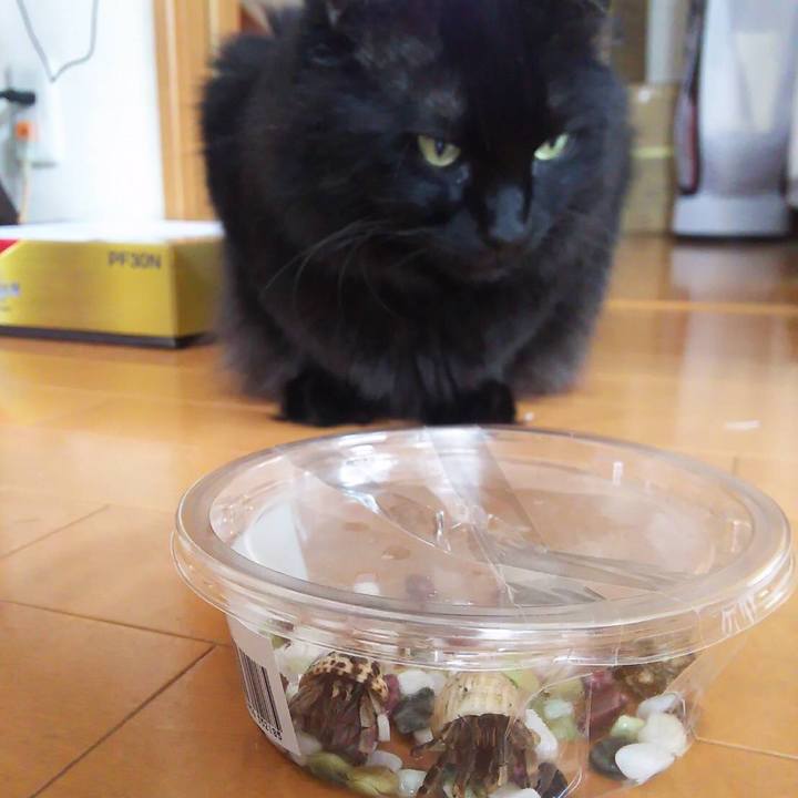 4db45613 ebd0 43ac a6d2 ff6da6f2440f 1533973404788