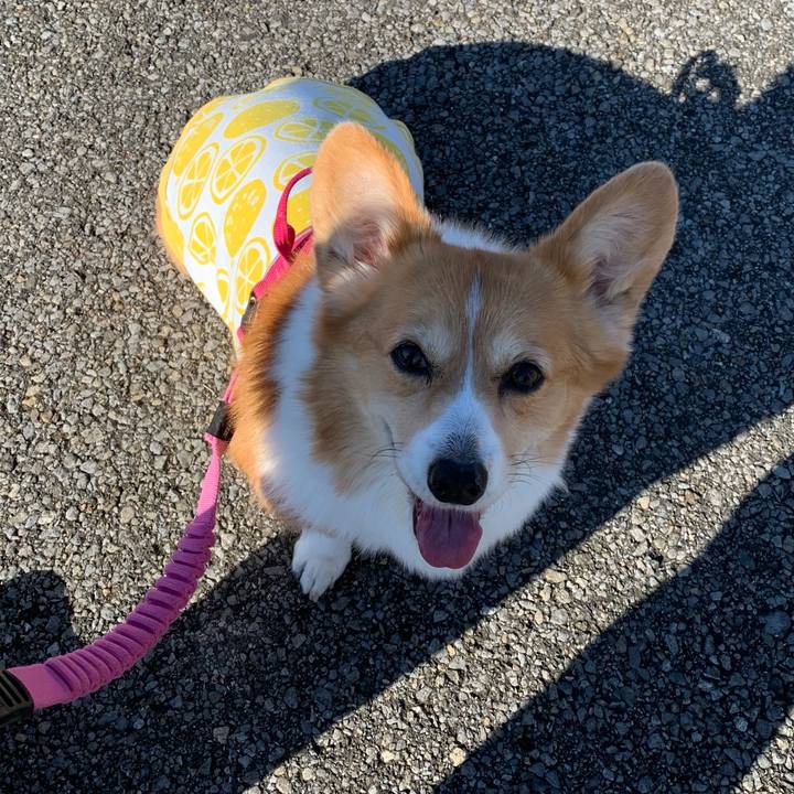 4db49e31 b5ec 4994 8aae 34418772db8d 1672459232887