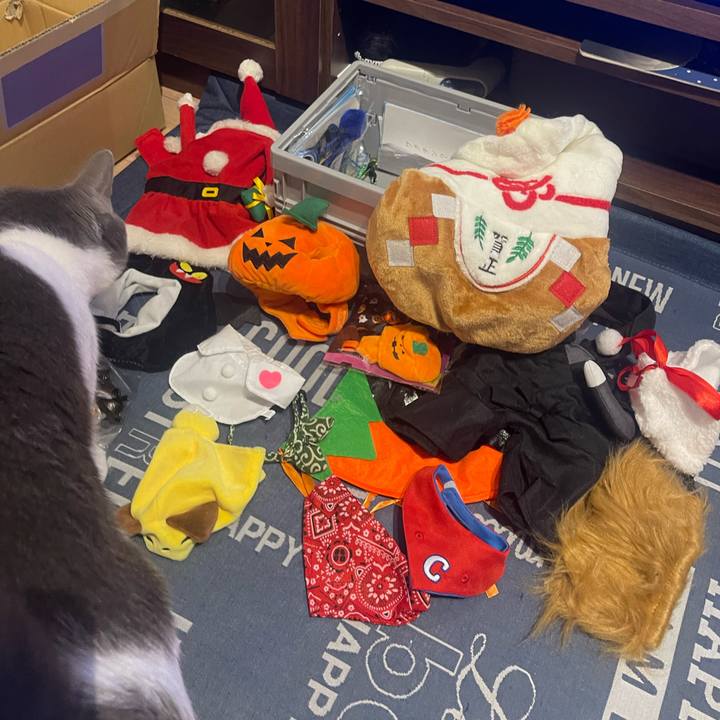 4db4bdd1 a0e4 4aac a48c e1ebd4d0c238 1698738885435