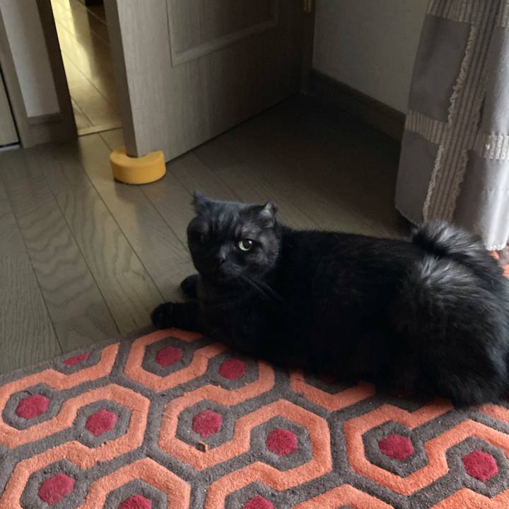 4db4c31f 6b20 46de a06e a1305dd121fc 1600904760443