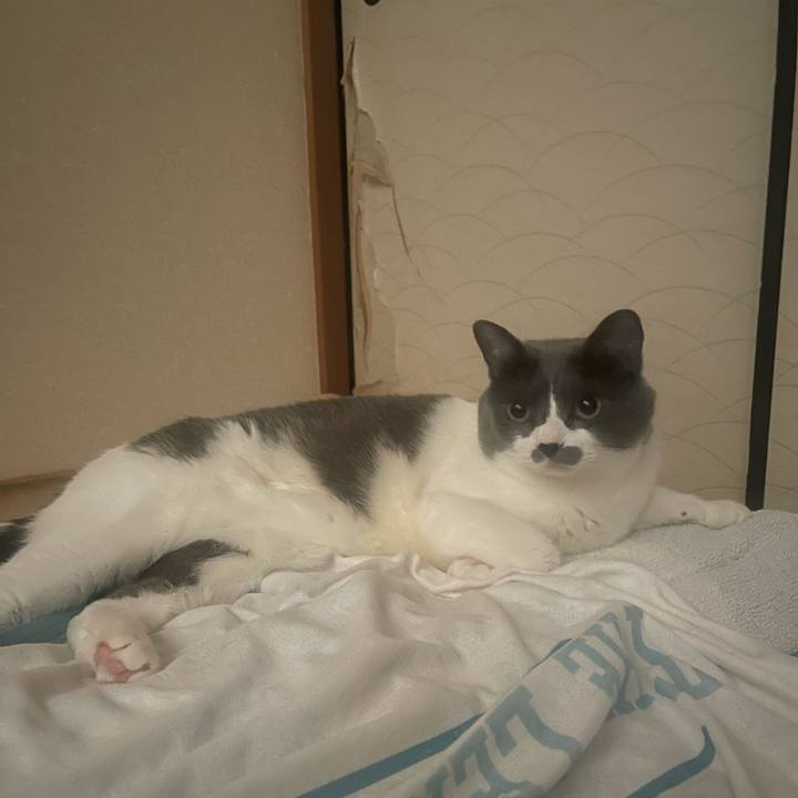 4db4cf16 38a4 4d2c ae80 8ad30b06f3f3 1721863794801