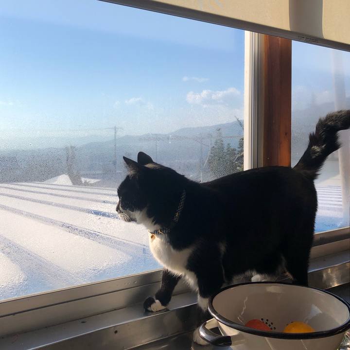 4db4d40e 1983 47d4 866f 52e8553844b8 1553381748041