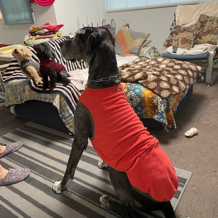 4db4d565 6752 4306 aabf 3f080c133a5b 1646177718253