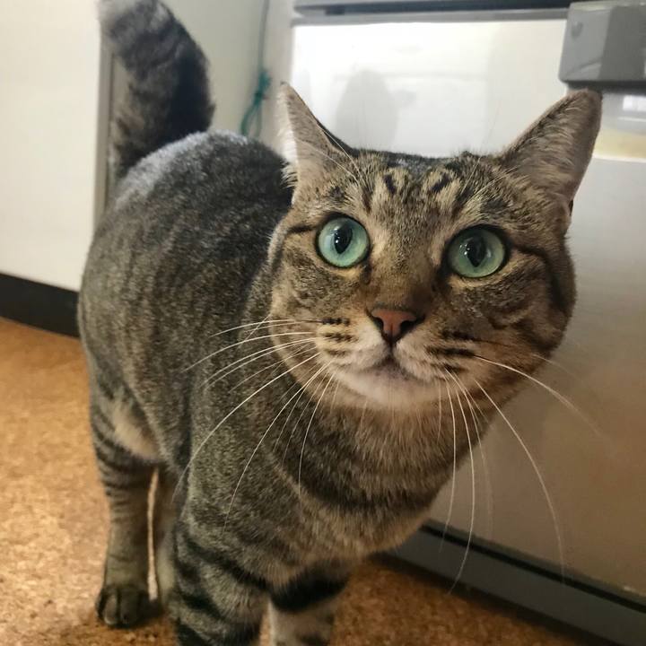 4db4e98d 8fd7 4edd bf92 cd19f3120d2f 1532919268715