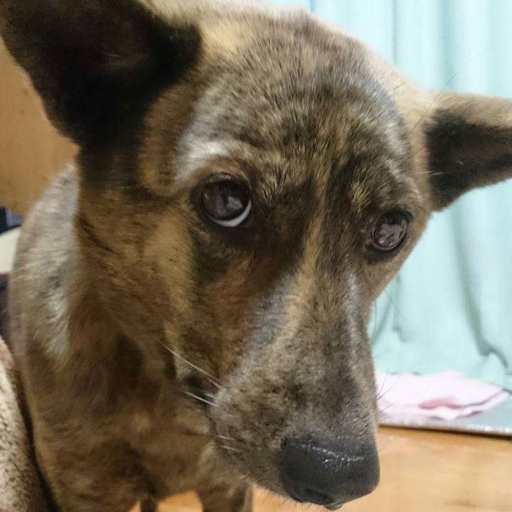 4db4ed4e 22d4 42e5 bd1f 0a9787d99744 1517126468209