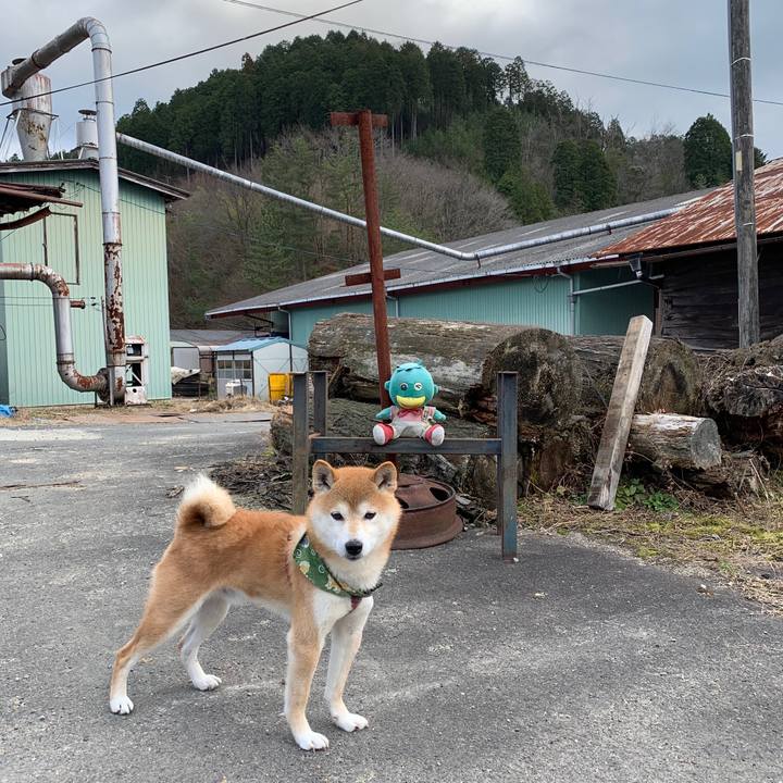 4db53999 9782 4ee8 b663 465b16b0453f 1578134925931